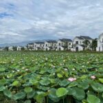 560200914 122156066714761789 7192665837953261566 N