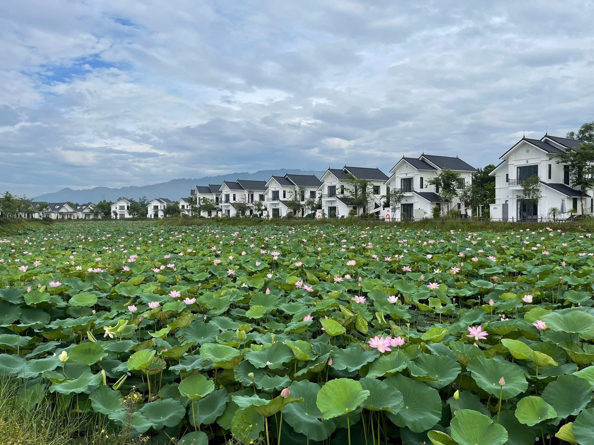 560200914 122156066714761789 7192665837953261566 N