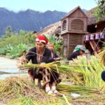 556894402 3255745141245061 2510452778594055531 N