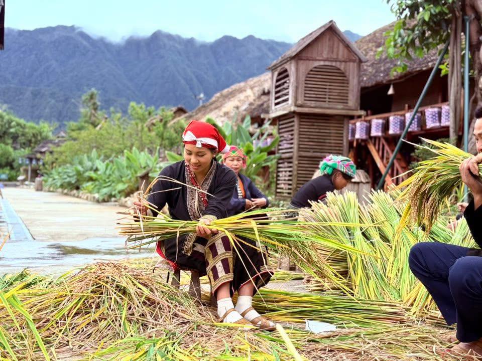 556894402 3255745141245061 2510452778594055531 N