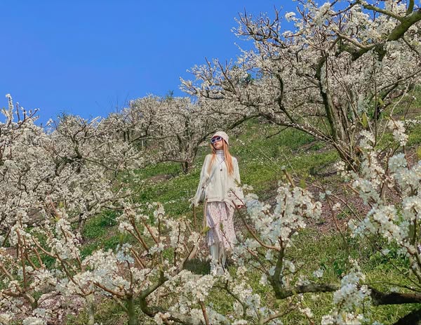 481149813 660020179737191 4907037897379604945 N