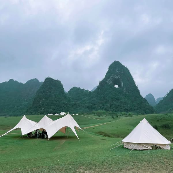 486156218 1106479378167328 7026871658363139401 N