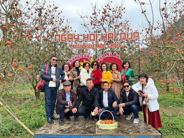 495158229 1376185054514653 5781363934028901779 N