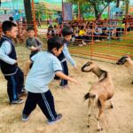 596812330 1326517992823024 8174385793956763406 N