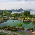 487240235 3793796557504157 8124106766050615227 N