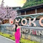 490532731 4760549630837403 6621908667189548512 N