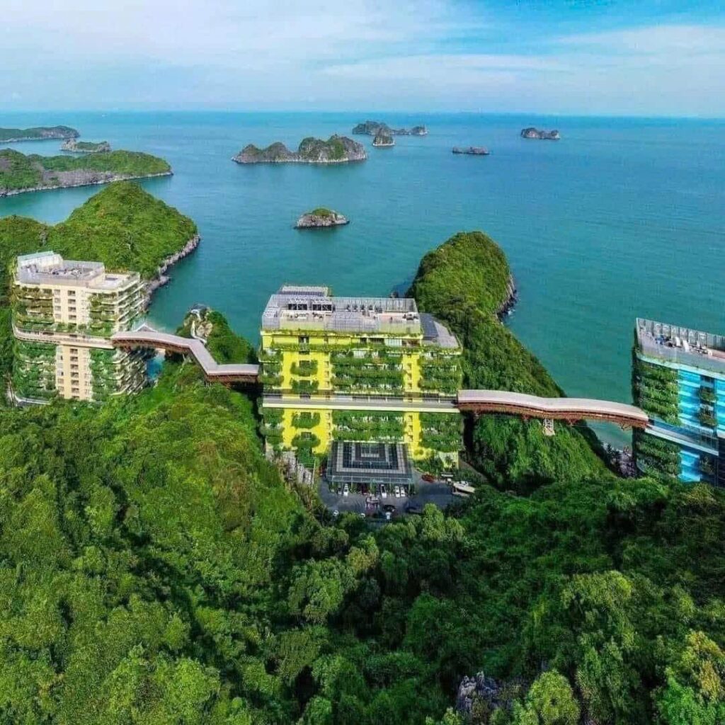 518292059 1205560984925833 8772115165901234850 N