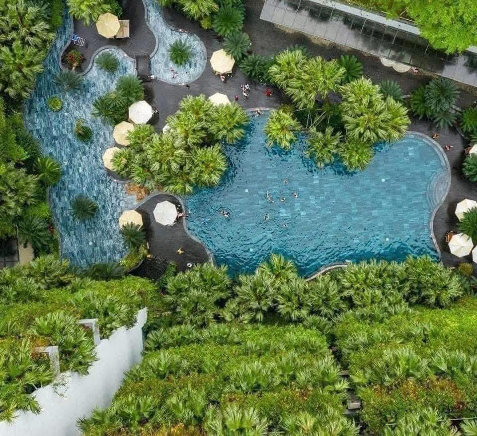 508463132 1410815166714542 6297260056903262395 N