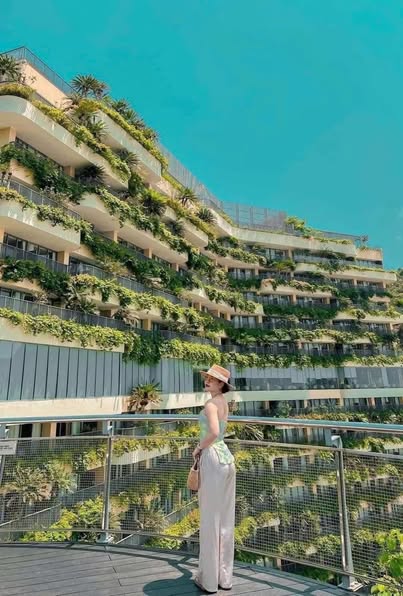 511197264 3667767630183263 5806151022165087353 N