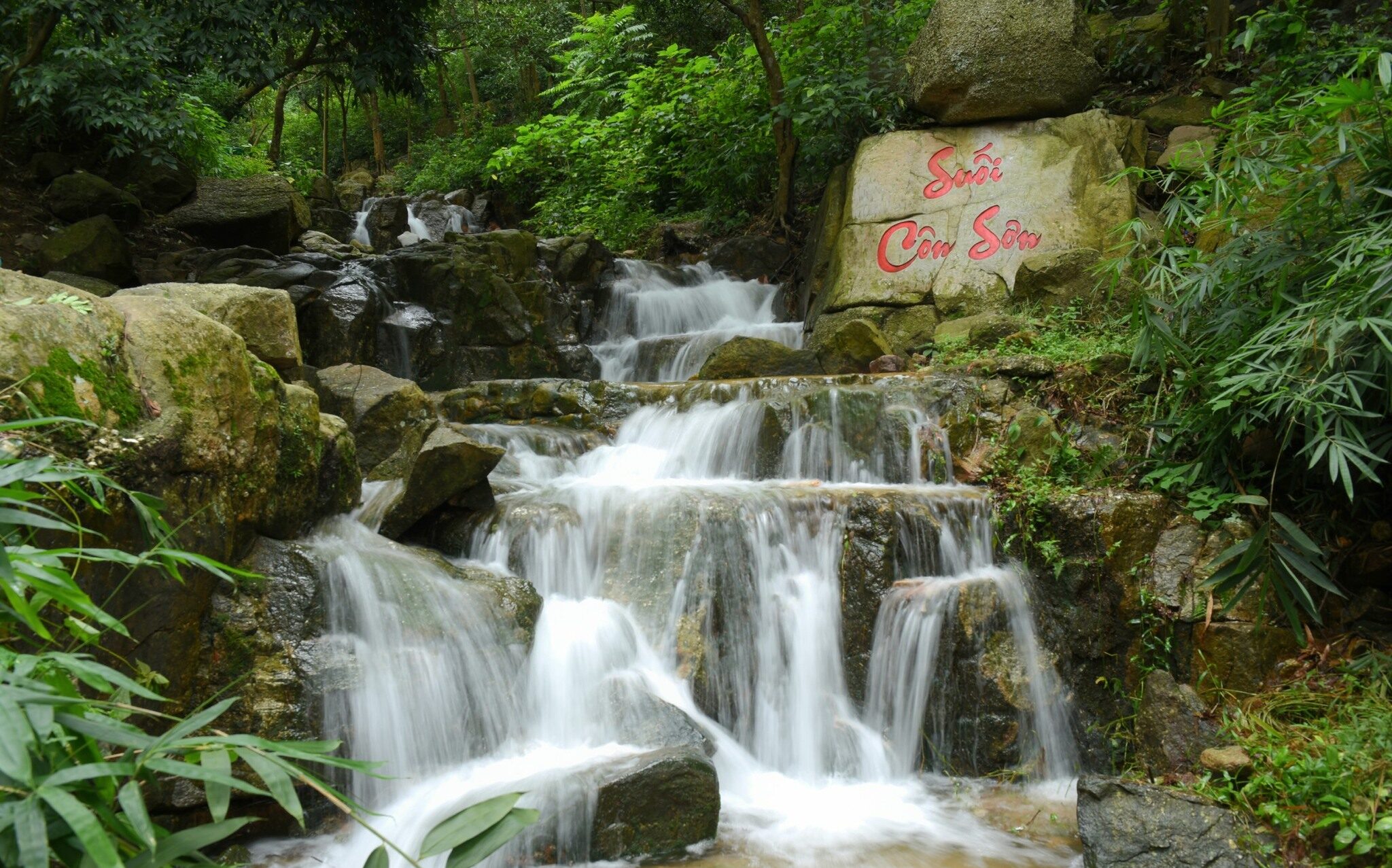 524127992 122159786642488071 6801590027774941569 N